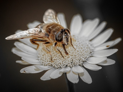 润和有声资讯网